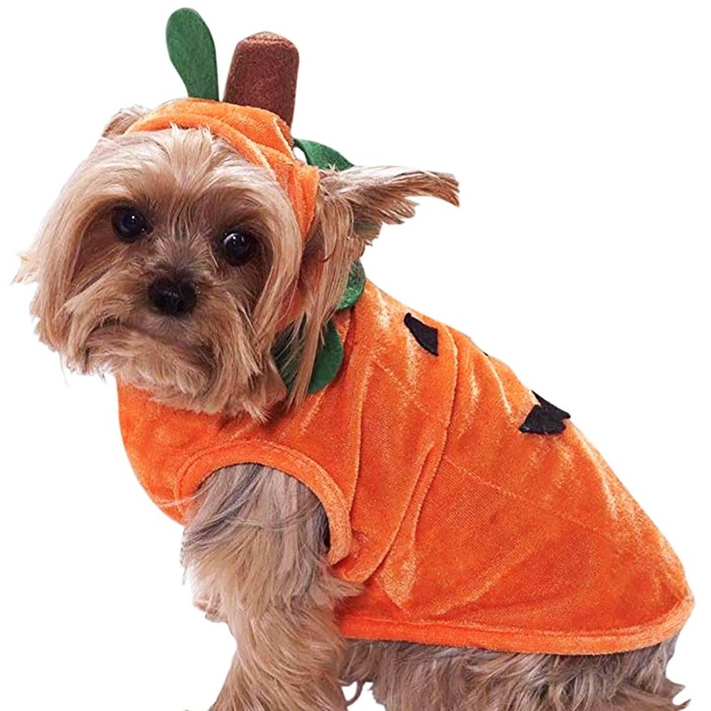 NEW - Pumpkin - Jack o' Lantern Cute Dog Costume